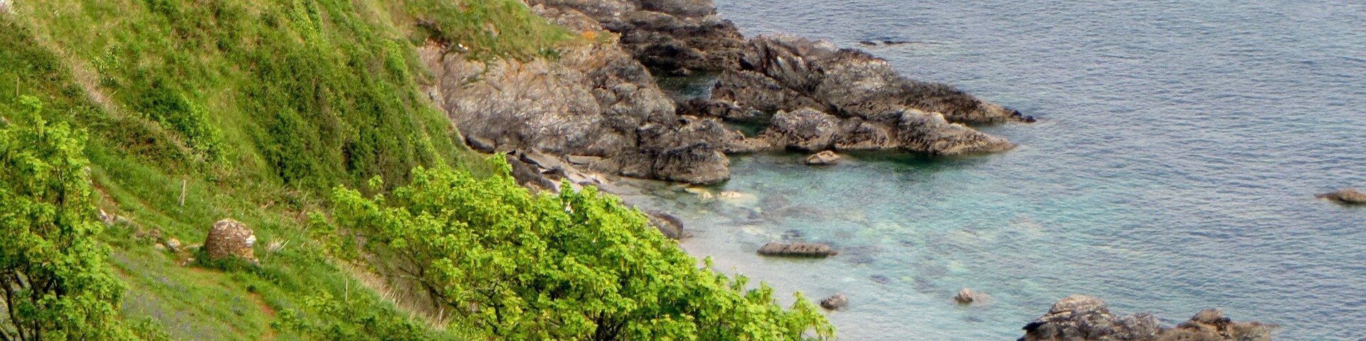 Bluebells above the cliffs near Start Point - May 2015