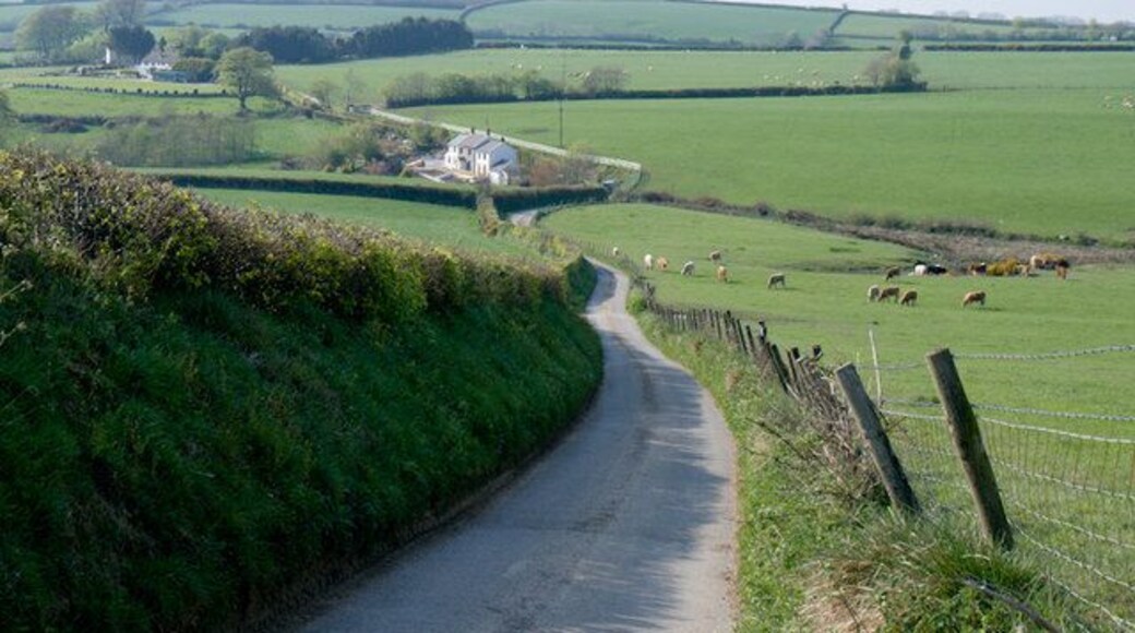 Stoodleigh Down The lane leads to Barnacoat Cottage and distant Barnacoat Farm.