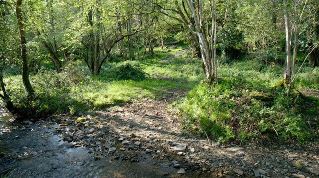 Ford nr Higher Dean Wood Tracks on the bridleway were 2:1 in favour of bicycles. However, horse riders will face a hard climb to Stoke Mill Lane after negotiating this ford.