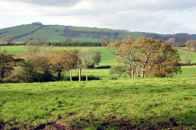 Farmland near Waddeton. View across gridsquare SX8657 looking north west towards the low ridge of Kemmings Hill. Windmill Hill summit, SX854595, 166 metres, at far left distance