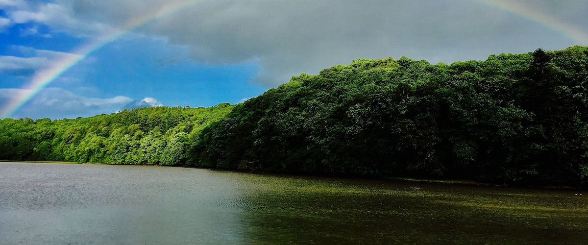 A lake with a rainbow arching over a dense forest.