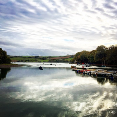 Nice quaint cafe serving home cooked food by the River Dart. We visited out of season & were welcomed by an open fire. I can imagine this place gets very busy in the holiday peak