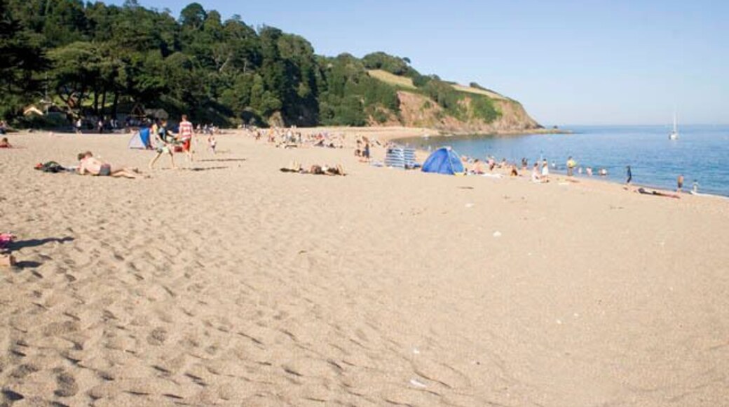 Blackpool Sands Looking east towards the end of this curved bay. One of the most photographed bays on the south coast of Devon, the steeply sloping beach is actually made up of fine shingle. This makes for very strenuous walking, especially when loaded up with beach paraphernalia. No sand in the sandwiches though! And the water was crystal clear on this perfect summer Sunday afternoon.