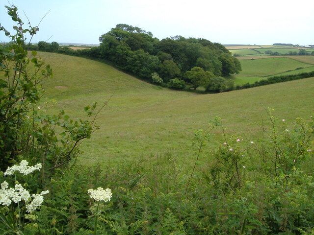 View from Blatchmore Lane. The copse in the northwest of this square seen from the side of a barn on the lane between Hemborough Post and Bugford Cross.