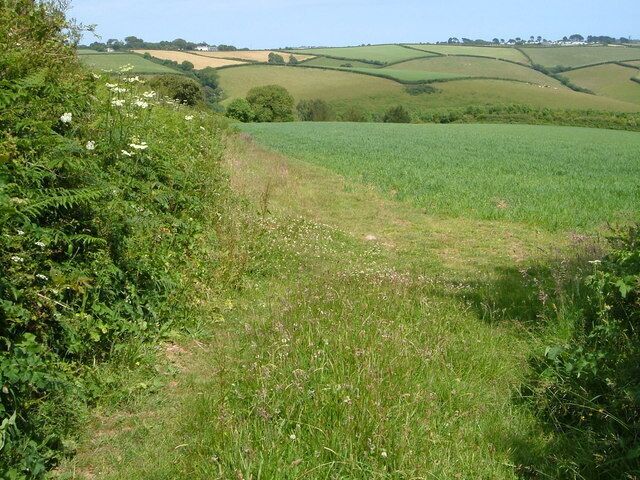 Across Strawberry Valley from near Fast Rabbit Farm. The valley drains to the right into the Blackpool valley. Beyond on the ridgetop is Norton, outside Dartmouth.