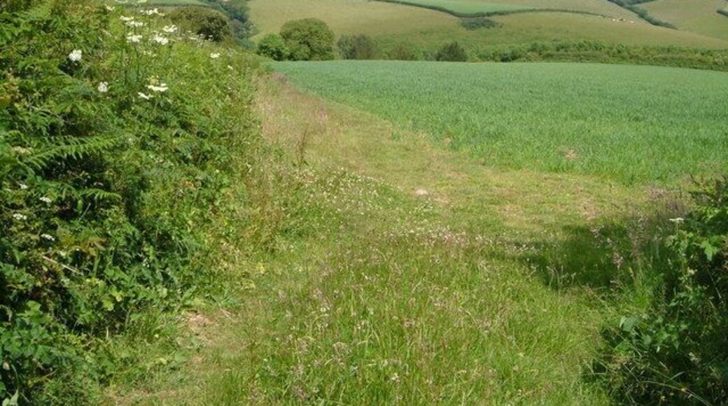 Across Strawberry Valley from near Fast Rabbit Farm. The valley drains to the right into the Blackpool valley. Beyond on the ridgetop is Norton, outside Dartmouth.