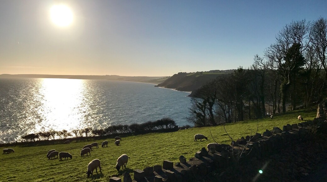 Views towards Blackpool Sands