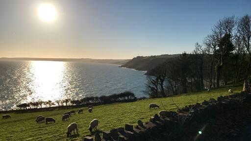 Views towards Blackpool Sands