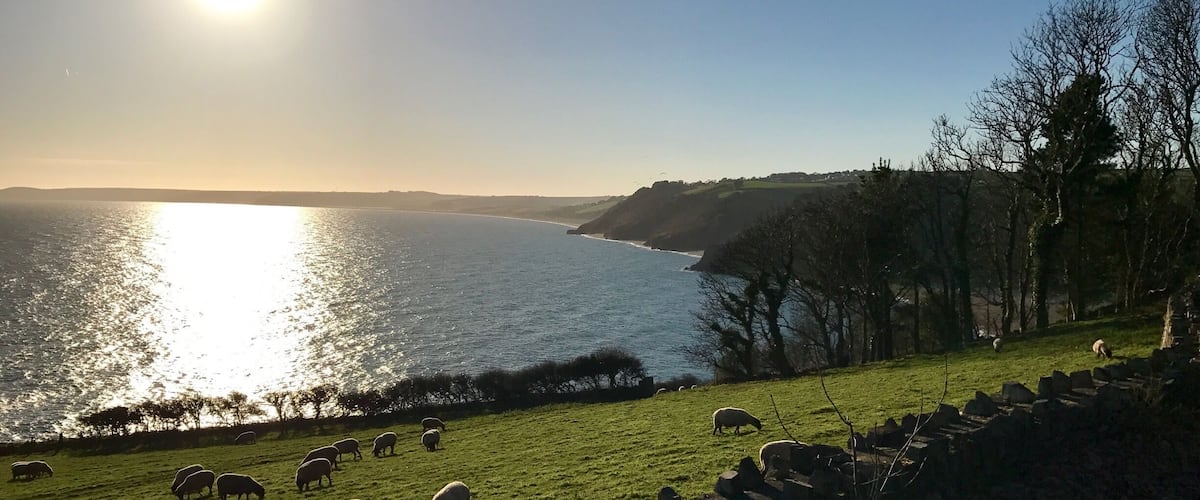 A coastal landscape with sheep grazing near the water, a stone wall, and a clear sky.