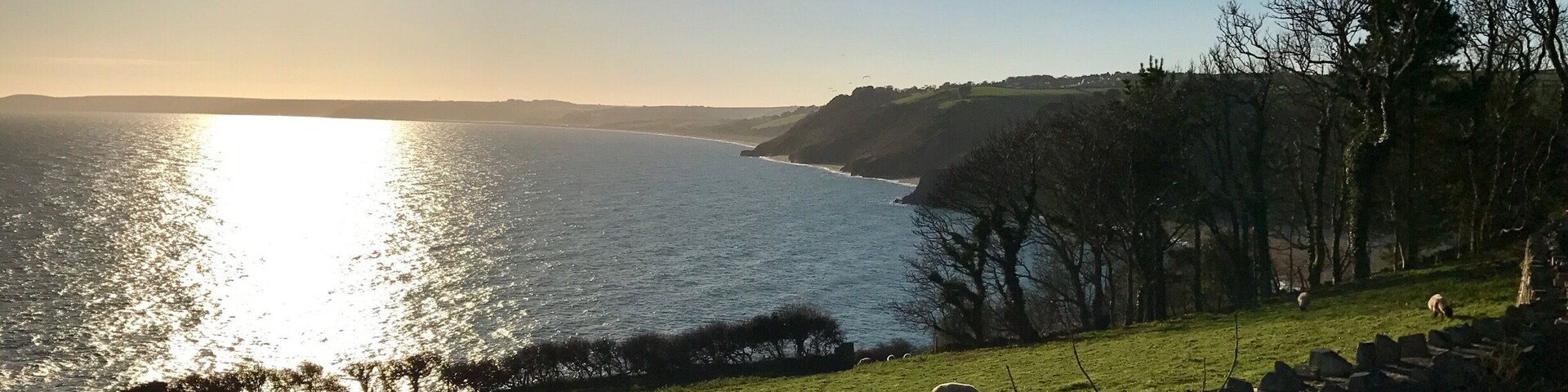 A coastal landscape with sheep grazing near the water, a stone wall, and a clear sky.