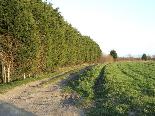 Stringside Drove View south and east the Oxborough Road.