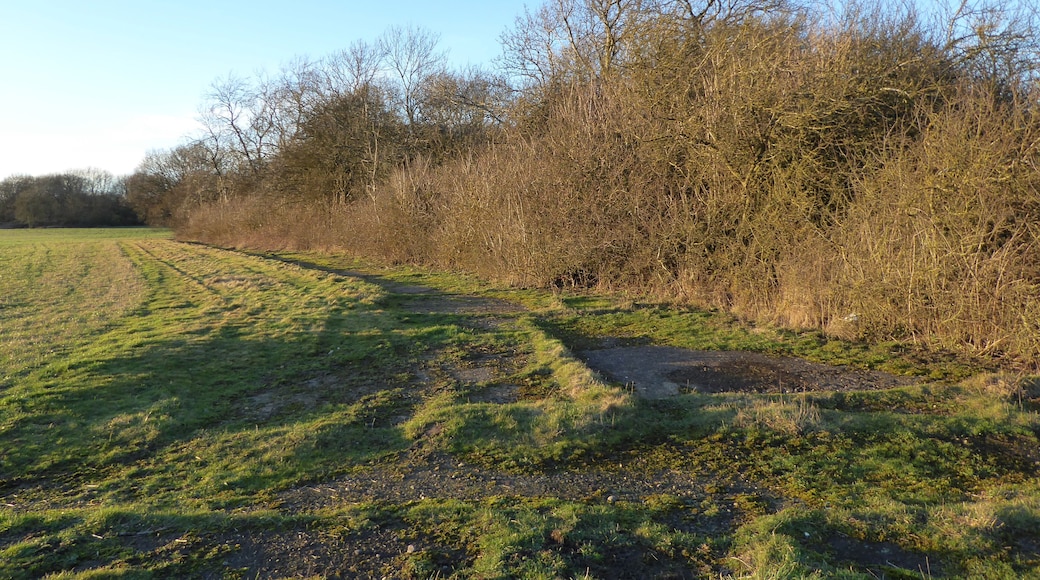 Bowd Lane Wood is part of Stoke and Bowd Lane Woods biological Site of Special Scientific Interest north of Desborough in Northamptonshire