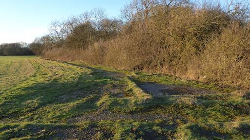 Bowd Lane Wood is part of Stoke and Bowd Lane Woods biological Site of Special Scientific Interest north of Desborough in Northamptonshire