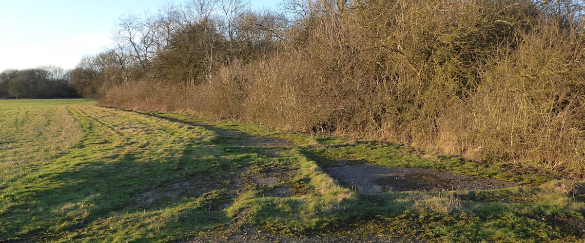 A grassy field with a dirt path leading through it, surrounded by leafless trees and bushes.