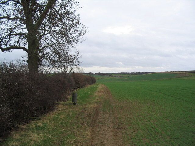 Another field boundary! With ubiquitous pheasant-feeder next to the hedge.