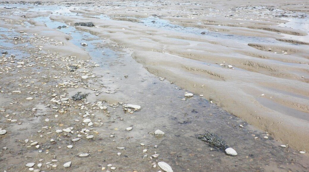 Low tide in Bridgwater Bay