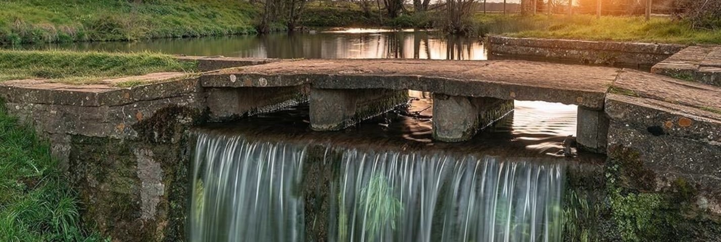 Beautiful scenery at stogursey castle