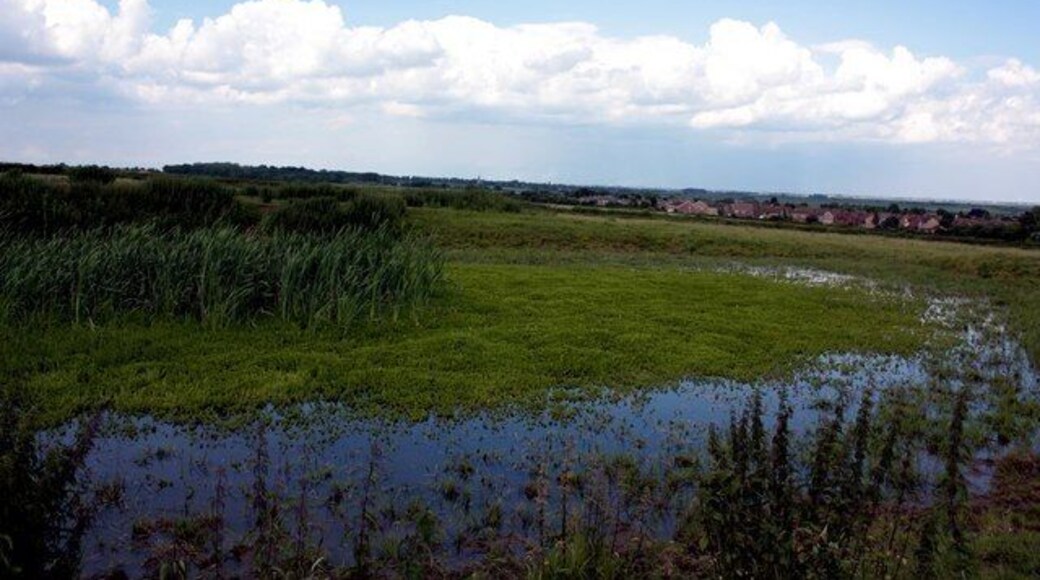 Natural water hole on top of hill near Stilton Natural water hole on top of hill near Stilton on the footpath to Folksworth