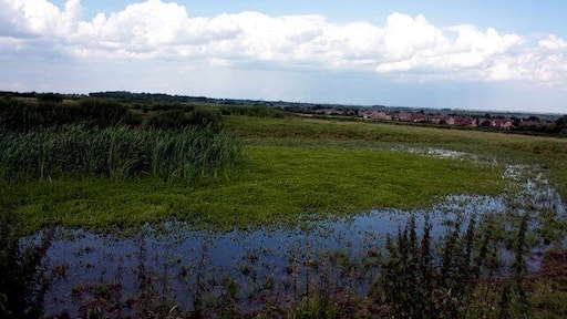 Natural water hole on top of hill near Stilton Natural water hole on top of hill near Stilton on the footpath to Folksworth
