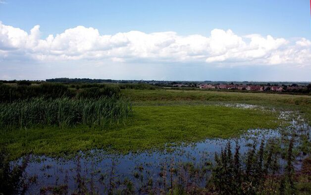 Natural water hole on top of hill near Stilton The water hole can be found at the top of the hill on the footpath between Stilton and Folksworth.