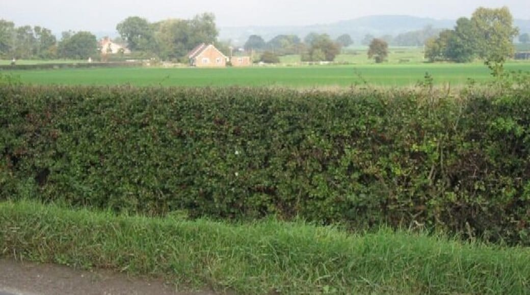 Farmland near Stillington With the site of a former Priory, Marton Abbey, visible in the distance; as seen from the B1363.
