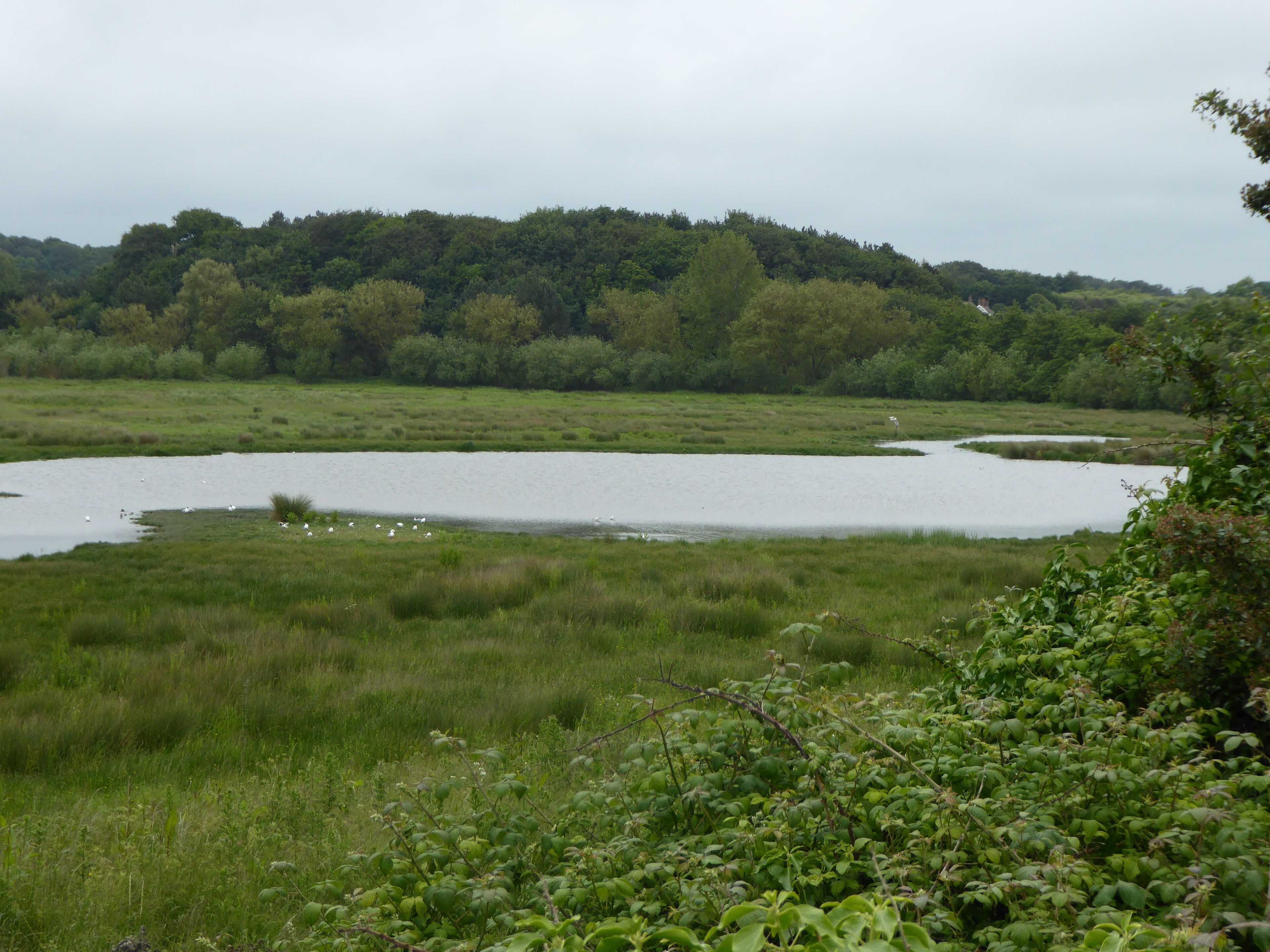 Stiffkey Valley is a Site of Special Scientific Interest east of Wells-next-the-Sea in Norfolk.