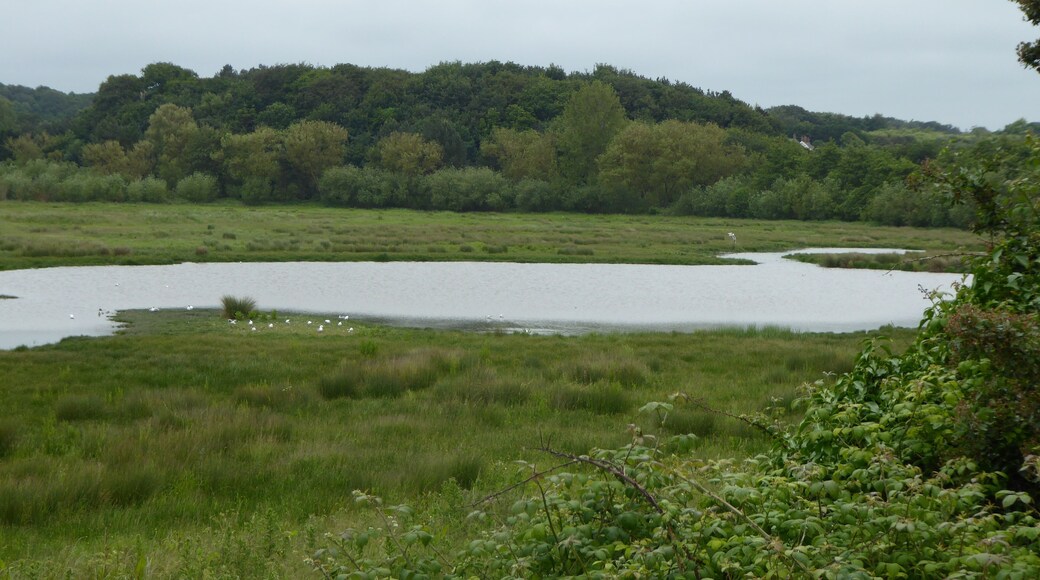 Stiffkey Valley is a Site of Special Scientific Interest east of Wells-next-the-Sea in Norfolk.