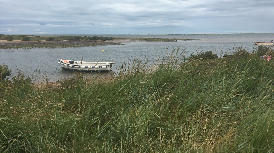 Love this part of the #norfolk coast. So picturesque and rural! The little villages are also a delight. This was the start of a 6mile circular hike.