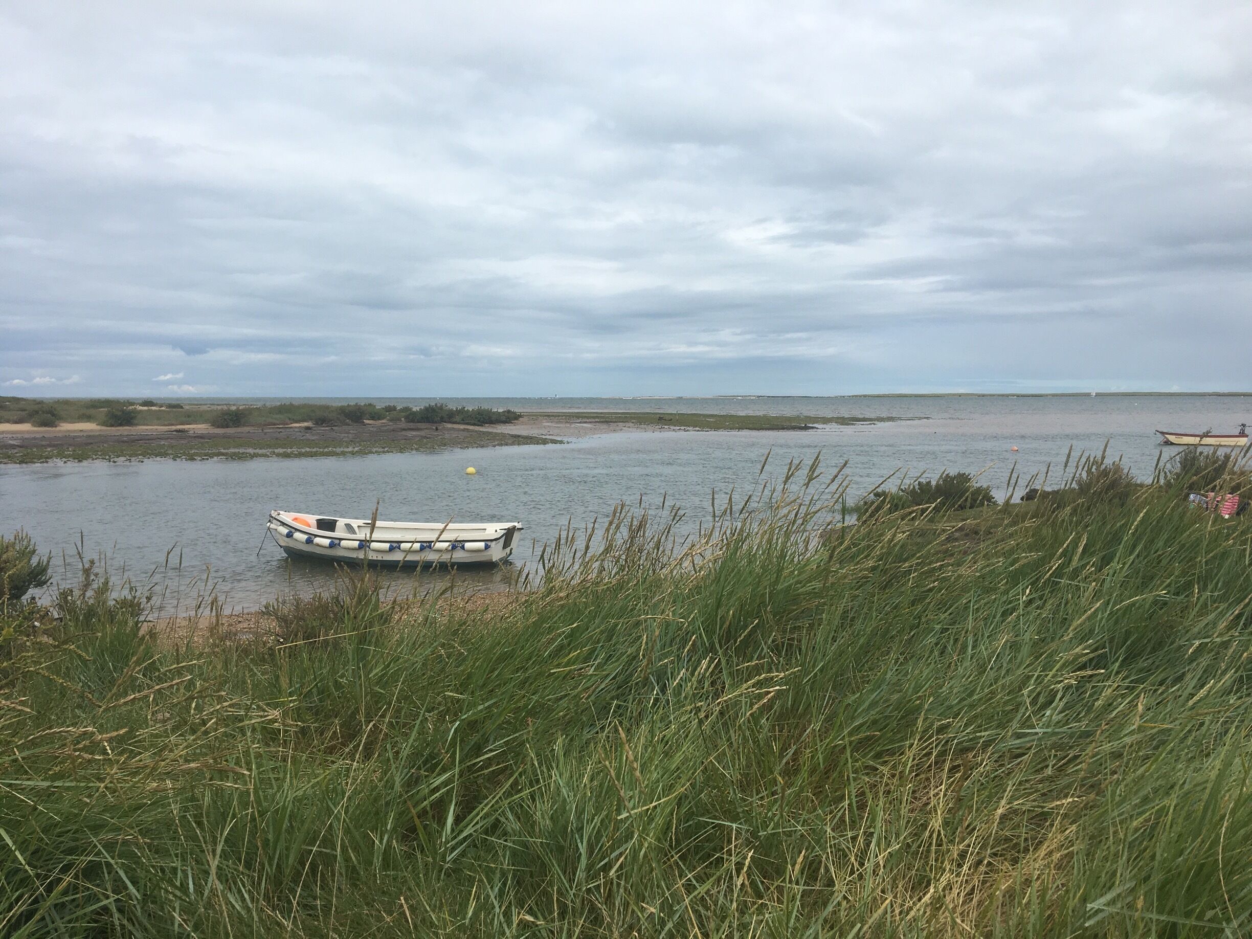 A boat on a calm river with grassy banks and a cloudy sky.