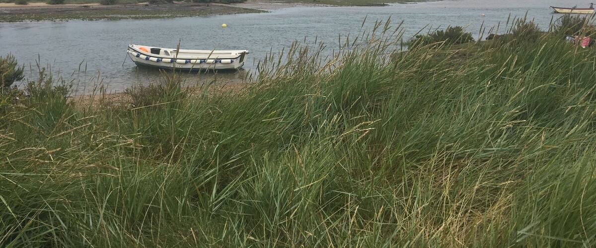 A boat on a calm river with grassy banks and a cloudy sky.