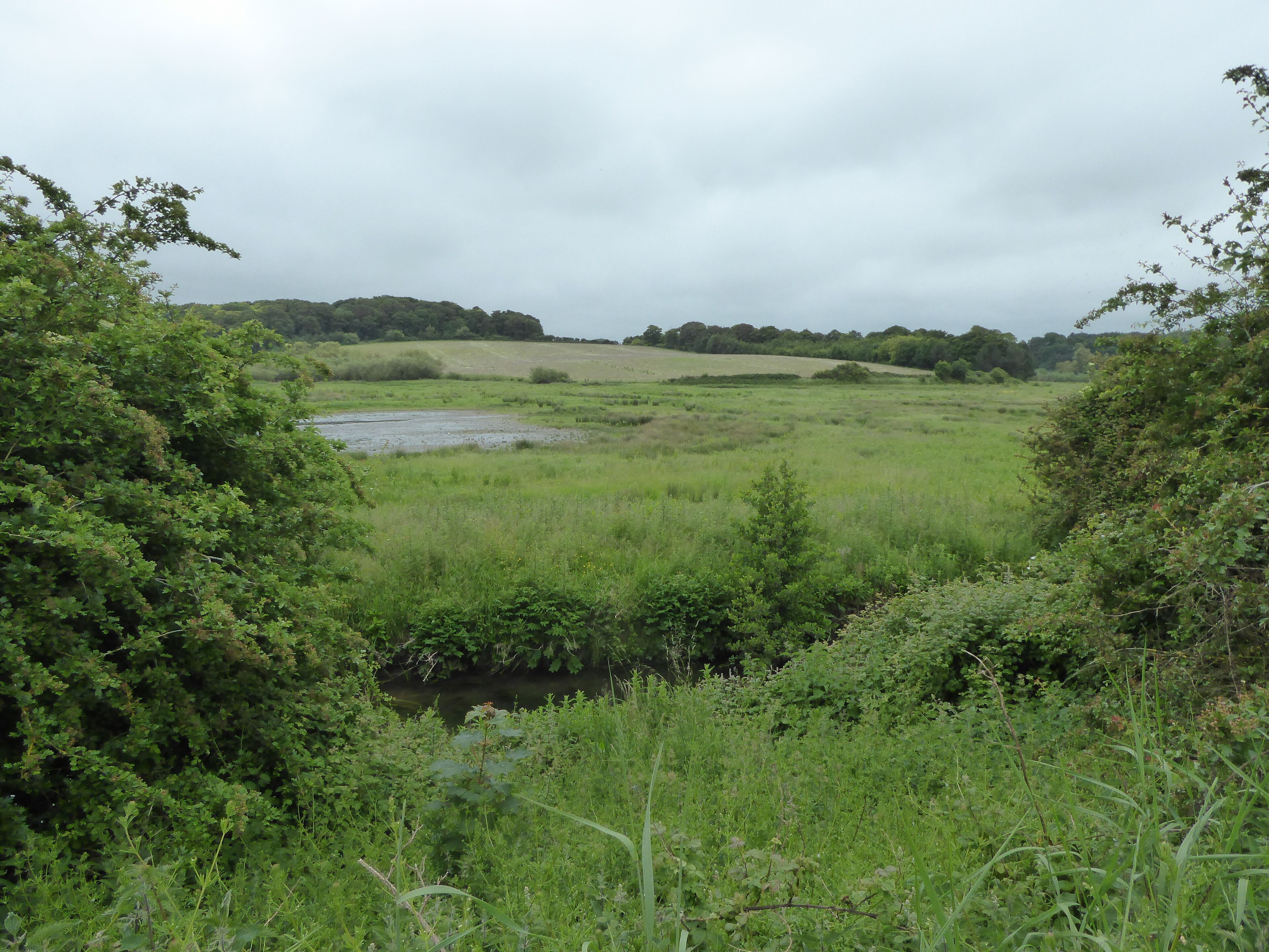 Stiffkey Valley is a Site of Special Scientific Interest east of Wells-next-the-Sea in Norfolk.