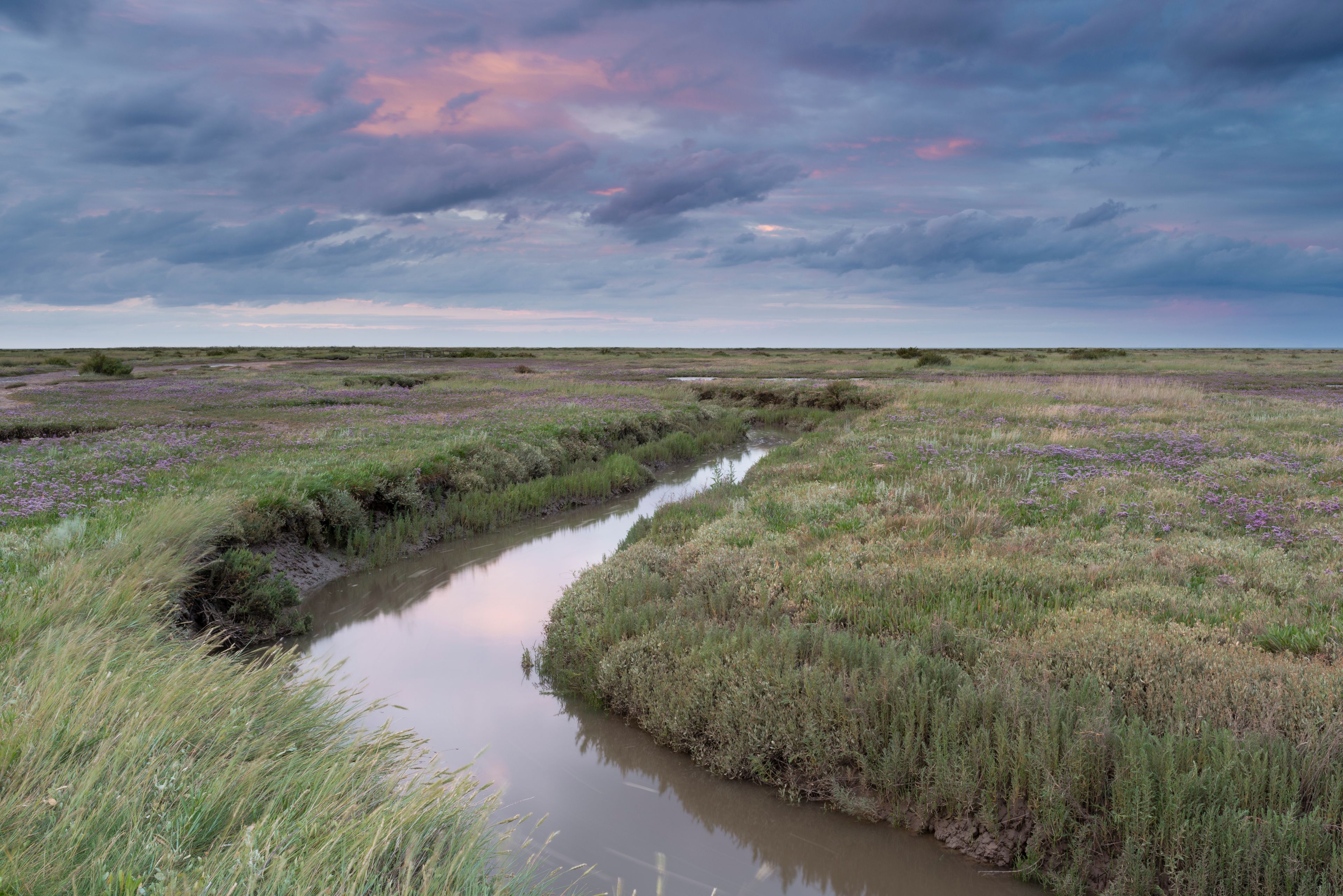 Stiffkey