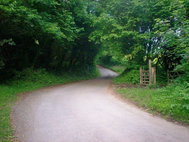 Uma estrada rural estreita rodeada por vegetação verde densa, com um portão de madeira à direita.