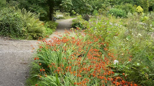 Colby Woodland Garden