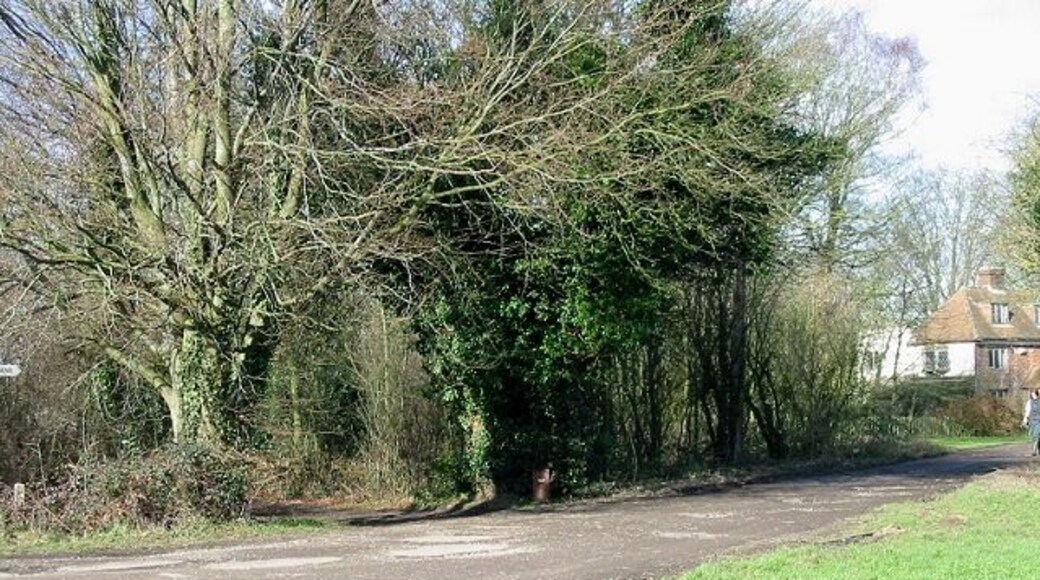 Ponycart Lane, Stelling Minnis