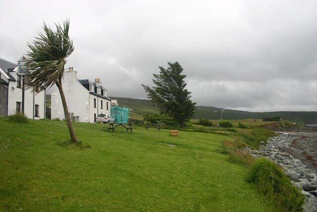 Stein front It was not windy but the trees look as though the have been through a storm or two