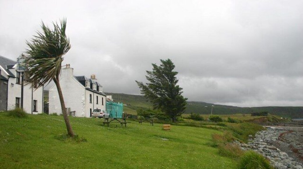 Stein front It was not windy but the trees look as though the have been through a storm or two