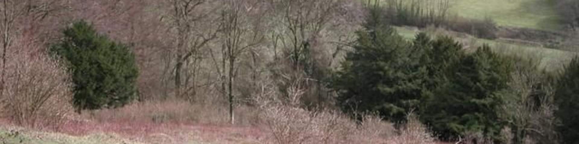 Ashford farm and Farmland from Shoulder of Mutton Hill.