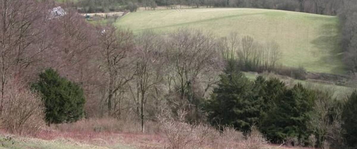 A rural landscape with rolling hills, a large open field, and scattered trees.