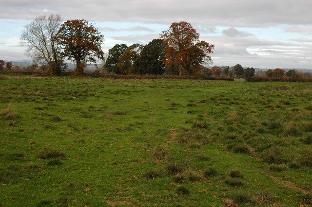 Farmland near Little London, Staunton on Wye Much of this square is low lying farmland crossed by a bridleway which is also the route of Vaughan's Way, a local long distance path.