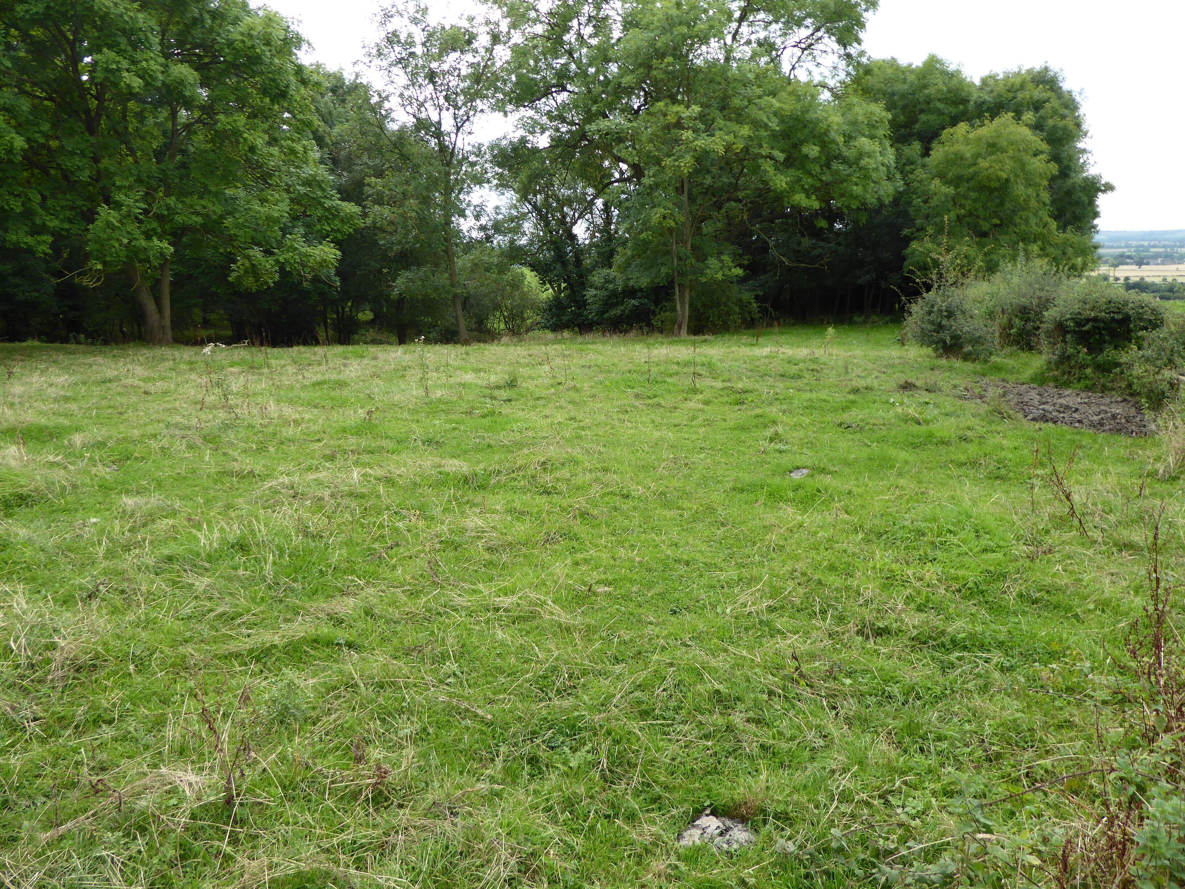 Harby Hill Wood is a biological Site of Special Site of Special Scientific Interest west of Eastwell in Leicestershire.