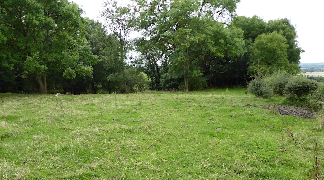 Harby Hill Wood is a biological Site of Special Site of Special Scientific Interest west of Eastwell in Leicestershire.