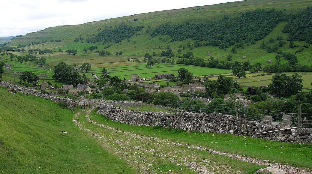 Walking down from Buckden Pike into Starbotton, July 2010
