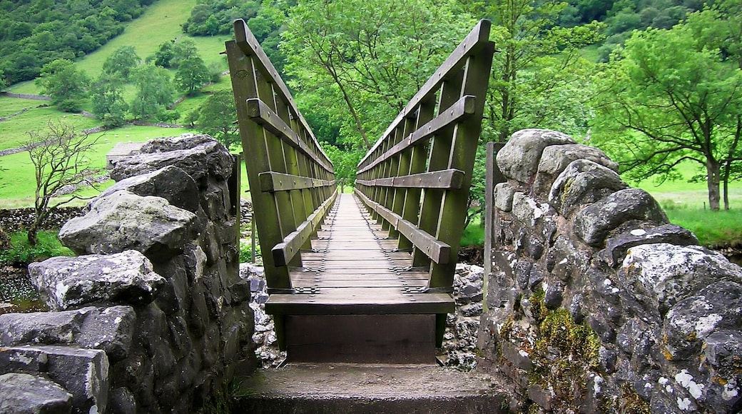 Wooden Footbridge , River Wharfe , Starbotton , North Yorkshire , July 2010