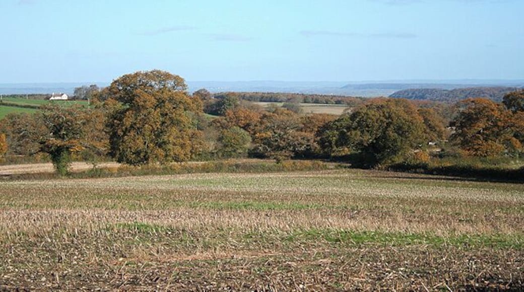 Staple Fitzpaine: above Bow Green By Underhill Lane, looking north east on the north-eastern flanks of the Blackdown Hills. Mendip hills are on the furthest horizon.