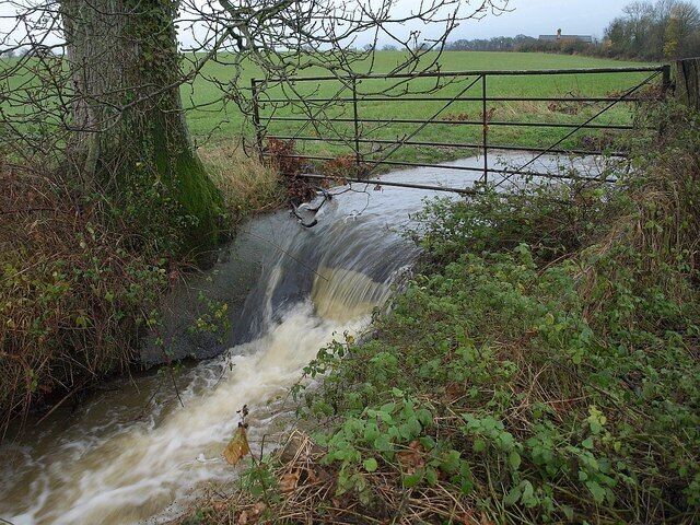 Stream near Staple Fitzpaine. The stream running alongside the trees shown in 1617075 tumbles over a fall. Footpath T23/7 passes by.