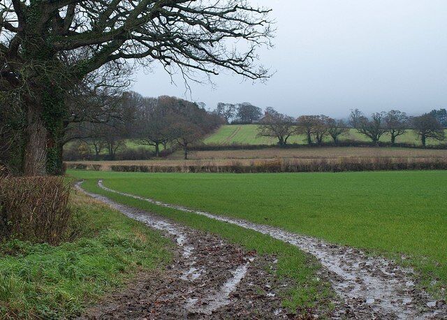 Path near Staple Fitzpaine This track from Underhill Lane is followed by footpath T23/7. By the time it reaches the first field boundary, it has crossed into ST2617. It's very wet.