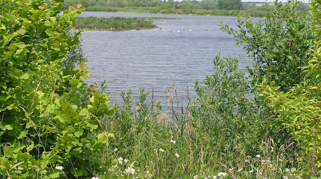 One of many lakes at Stanwick Lakes - June 2009