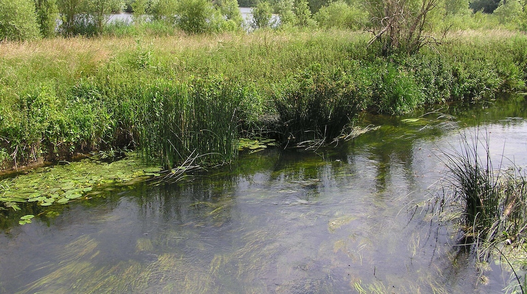 From the old railway line - Stanwick Lakes - June 2009
