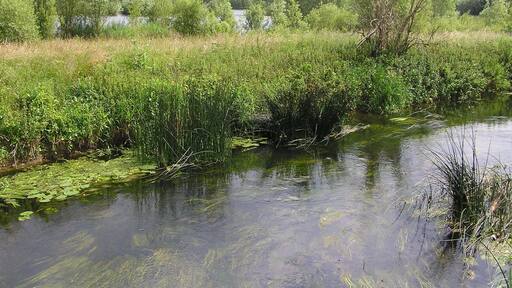 From the old railway line - Stanwick Lakes - June 2009